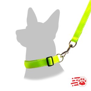 Traíllas Para Perros (Collar y Correa) – Mayoristas – PetOutlet