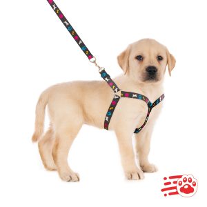Traílla De Lujo Para Perros – Mayoristas – PetOutlet