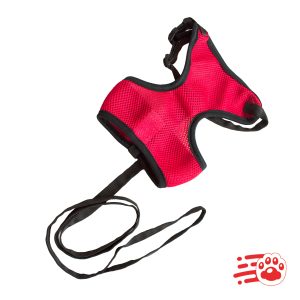 Arnés Térmico Para Perros Mayoristas PetOutlet