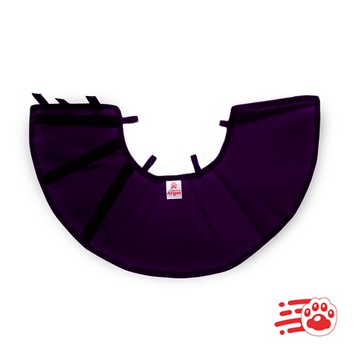 Collar Isabelino Para Perros Y Gatos Mayoristas PetOutlet - Imagen 4