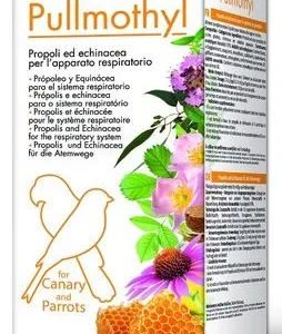Pullmothil 24ml (Tratamiento para vía respiratoria)