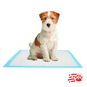 Pañal Tapete Entrenador Para Mascotas Mayoristas PetOutlet