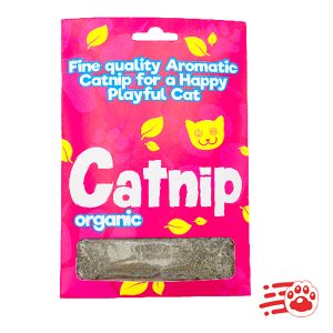 Cat Nip Natural Para Gatos Mayoristas – PetOutlet