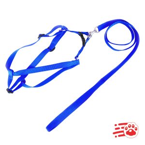 Arnés Con Correa Para Perros Mayoristas PetOutlet