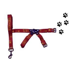 Arnés con correa Talla -4-