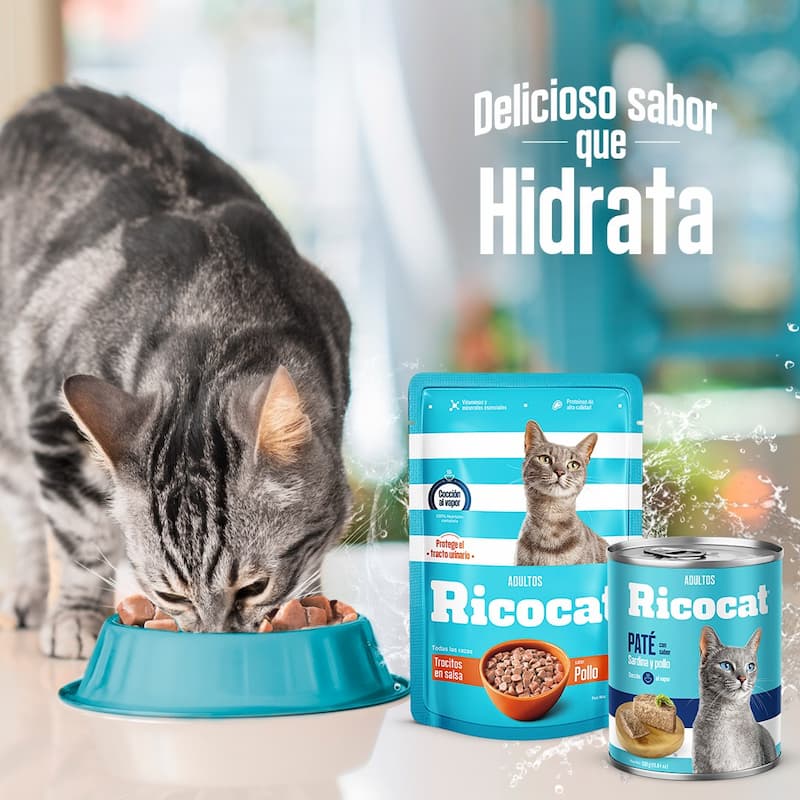 PATÉ RICOCAT sabor a hígado y pollo -ADULTOS- 330g - Imagen 3