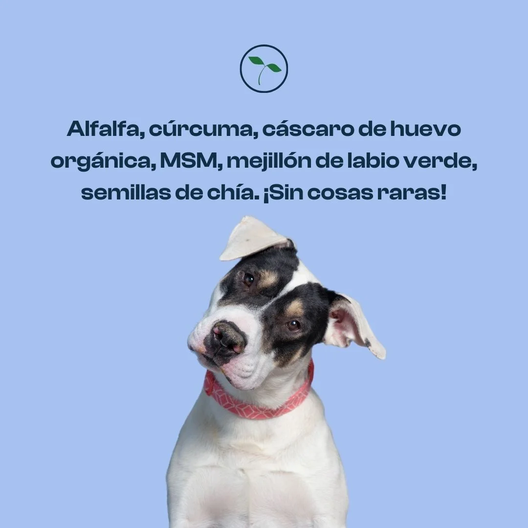 Suplemento para Perro – Articulaciones de Acero - Imagen 3