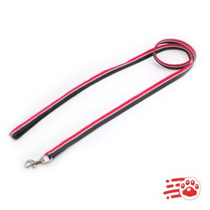 Correa Económica Para Perros Mayoristas PetOutlet