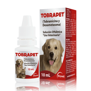 Tobrapet x 10ml