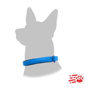 Collar Acolchado Para Perro Mayoristas – PetOutlet