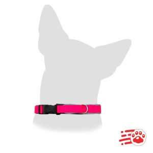 Collar Acolchado Reflectivo Mayoristas – PetOutlet