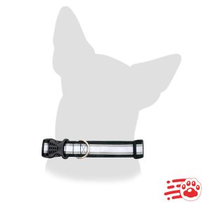 Collar Reflectivo Para Mascotas Mayoristas PetOutlet