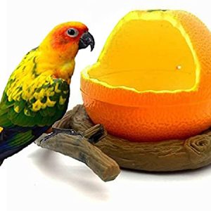 ACCESORIO AVES PLATO 2 UNIDADES GRANDE