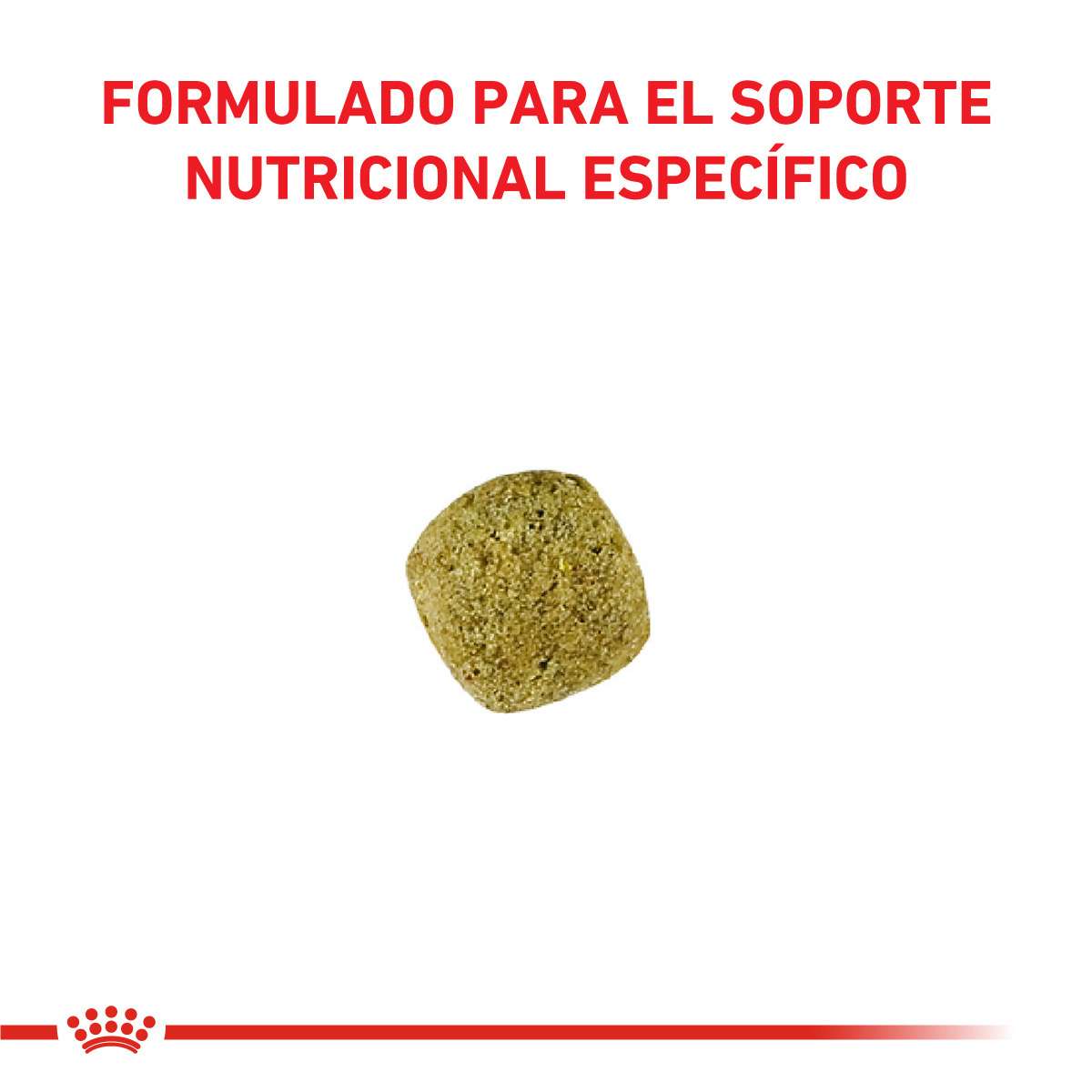 Royal Canin Diabetic Feline Alimento Seco para Gato | 1,5 kg - Imagen 3