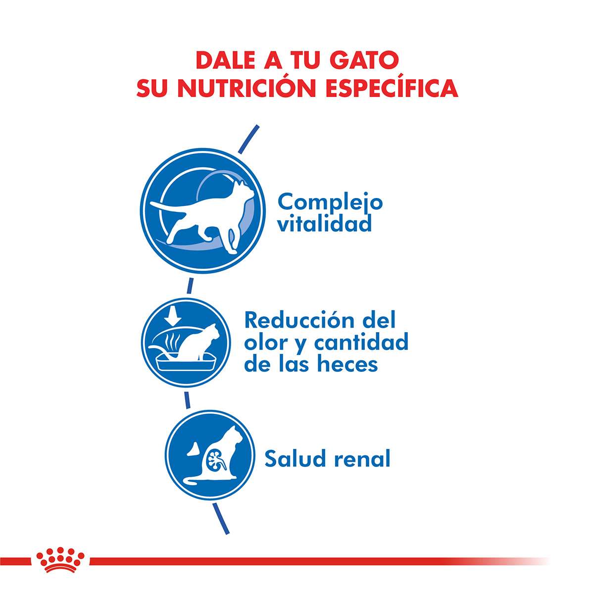 Royal Canin Indoor 7+ Alimento Seco para Gato | 1,5 y 7,5 kg - Imagen 2