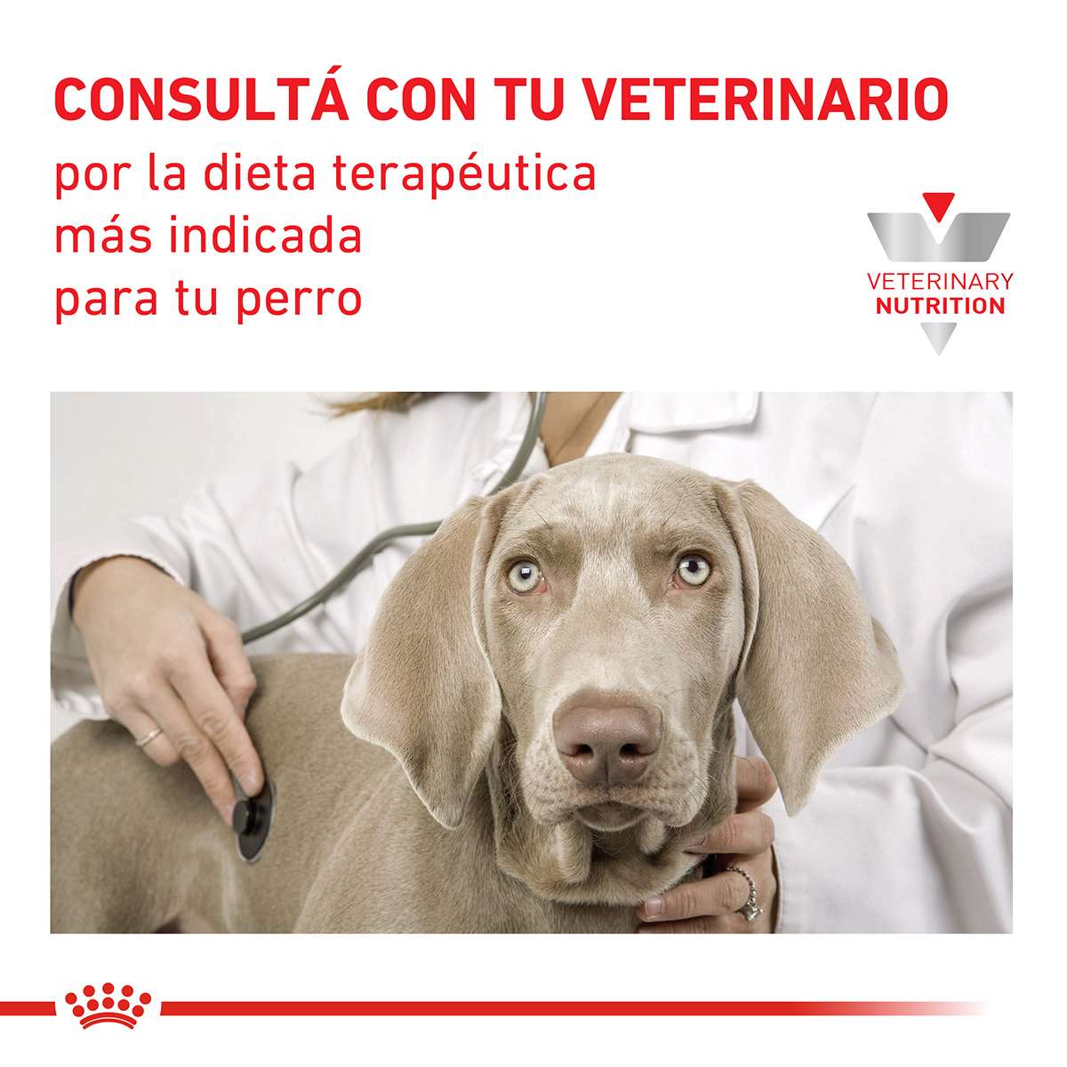 Royal Canin Satiety Support Weight Management Canine Alimento Seco para Perro | 1,5 | 7,5 y 15 kg - Imagen 6