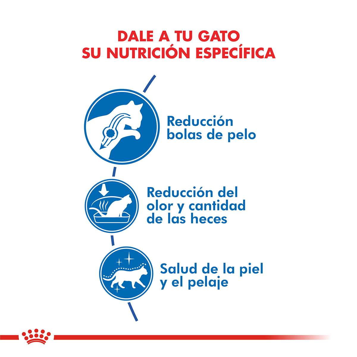 Royal Canin Indoor Long Hair Alimento Seco para Gato | 1,5 kg - Imagen 2