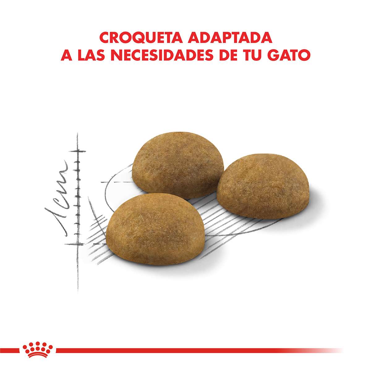 Royal Canin Indoor Long Hair Alimento Seco para Gato | 1,5 kg - Imagen 3