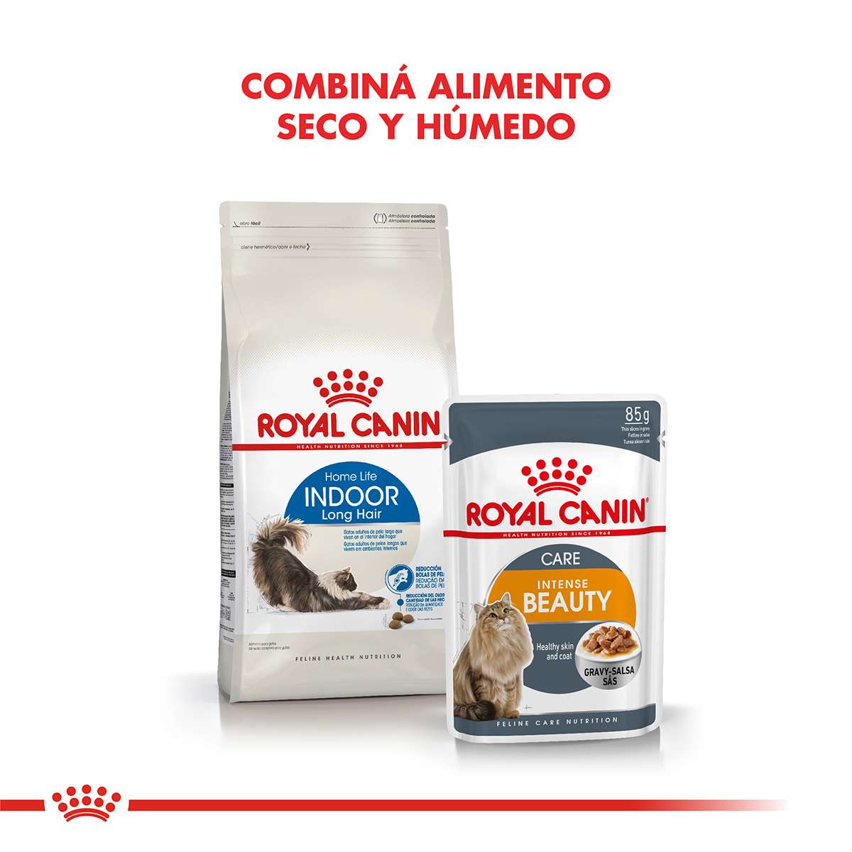 Royal Canin Indoor Long Hair Alimento Seco para Gato | 1,5 kg - Imagen 4