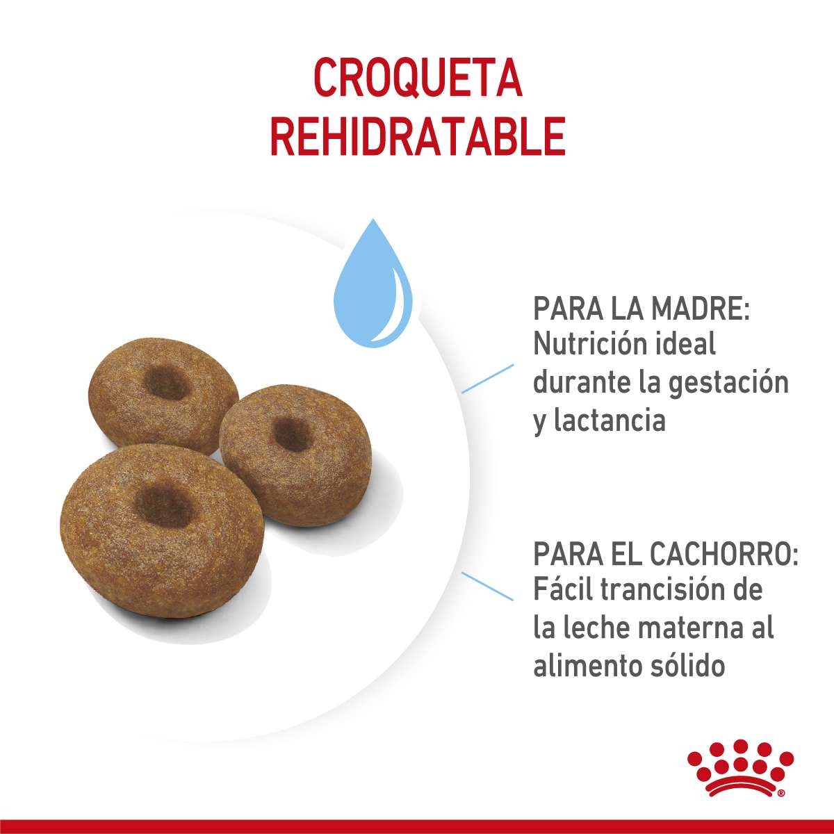 Royal Canin Maxi Starter Mother & Babydog Alimento Seco para Perro | 10 kg - Imagen 3