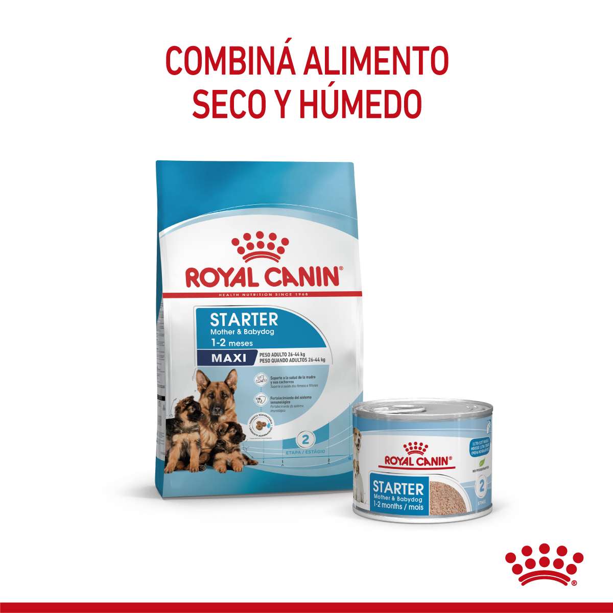 Royal Canin Maxi Starter Mother & Babydog Alimento Seco para Perro | 10 kg - Imagen 5