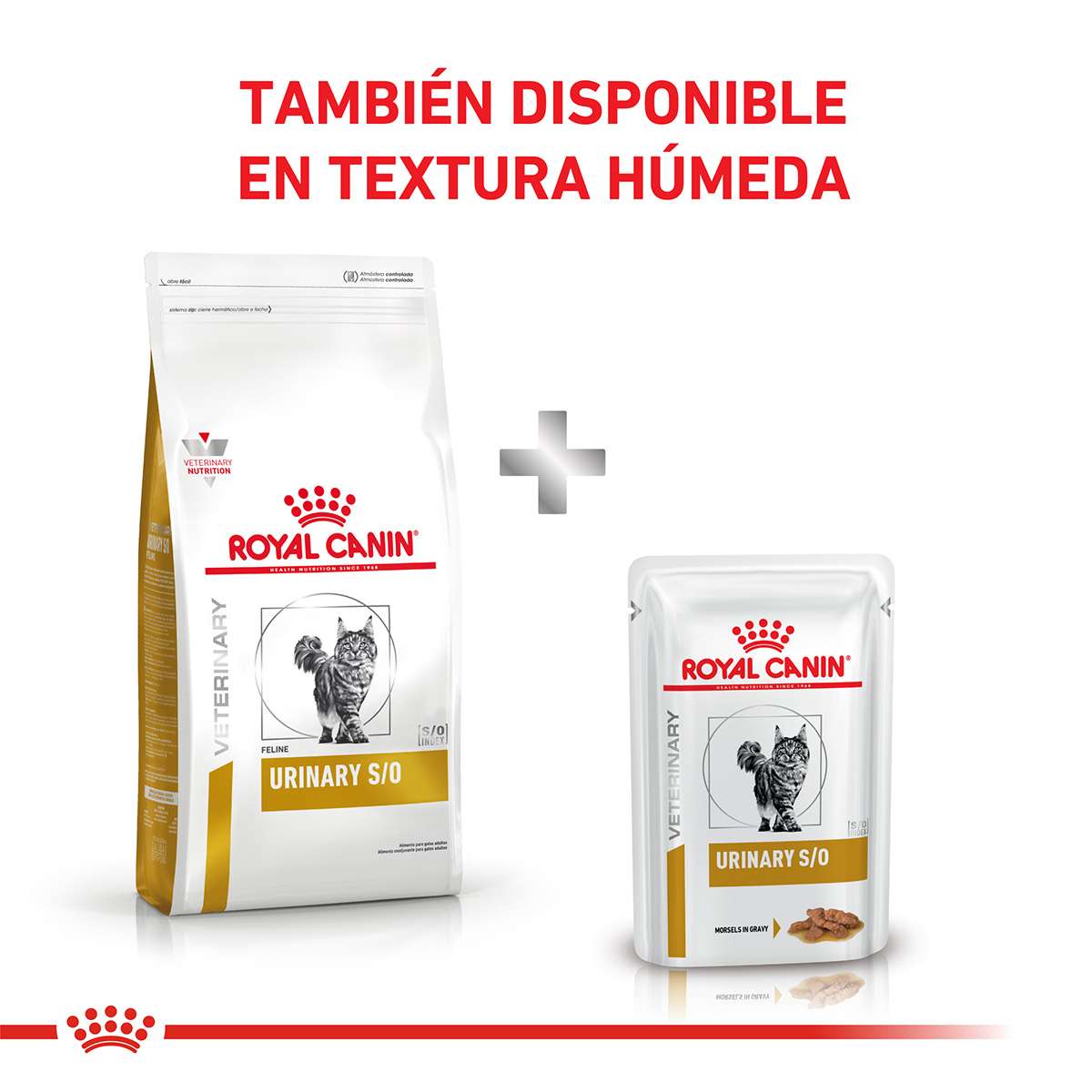 Royal Canin Urinary S/O Feline Alimento Seco para Gato | 1,5 y 7,5 kg - Imagen 4