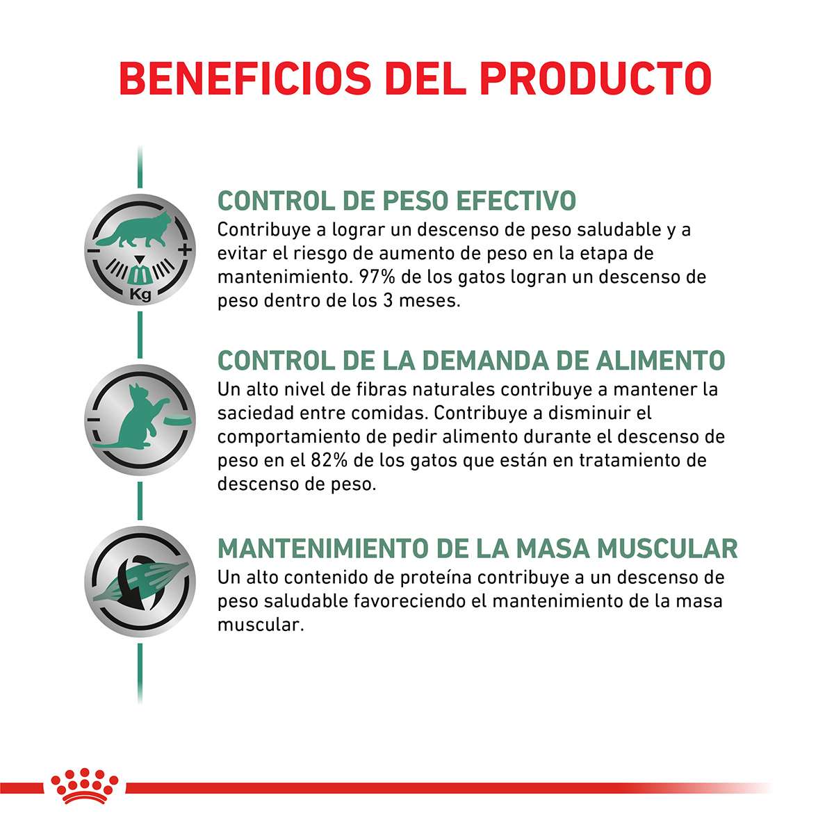 Royal Canin Schnauzer Miniature Adulto Alimento Seco para Perro | 3 kg - Imagen 2