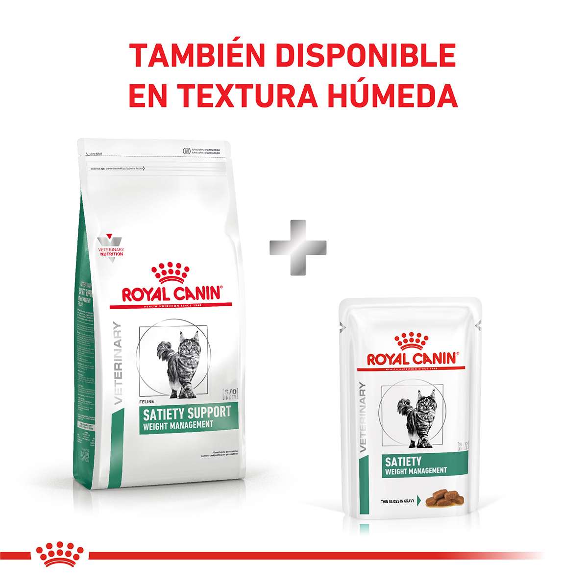 Royal Canin Schnauzer Miniature Adulto Alimento Seco para Perro | 3 kg - Imagen 4
