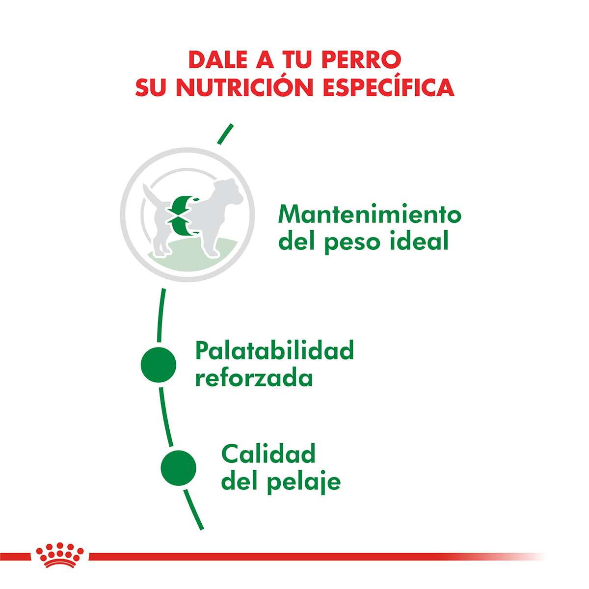 Royal Canin Mini Adulto Alimento Seco para Perro | 1 | 3 | 7,5 y 15 kg - Imagen 2