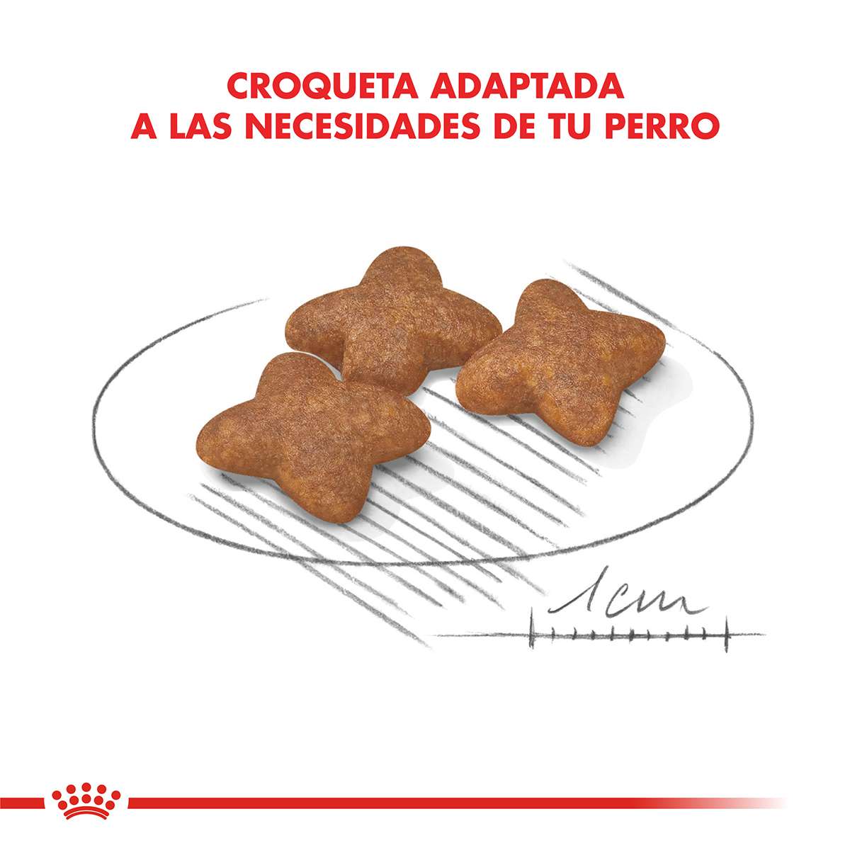 Royal Canin Mini Adulto Alimento Seco para Perro | 1 | 3 | 7,5 y 15 kg - Imagen 3