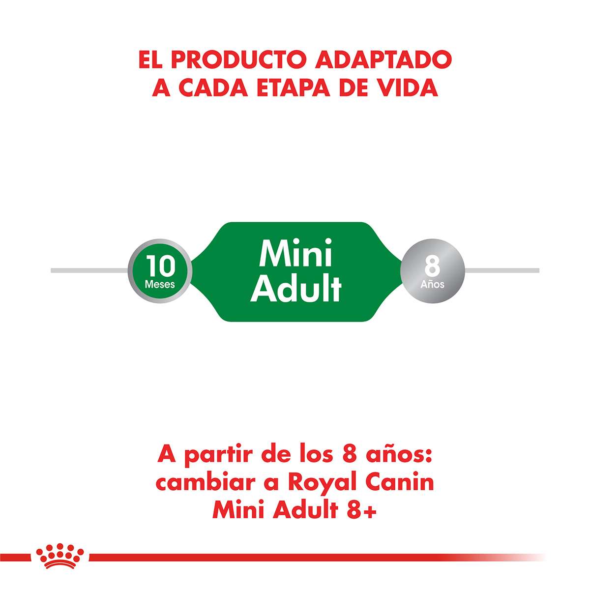 Royal Canin Mini Adulto Alimento Seco para Perro | 1 | 3 | 7,5 y 15 kg - Imagen 4