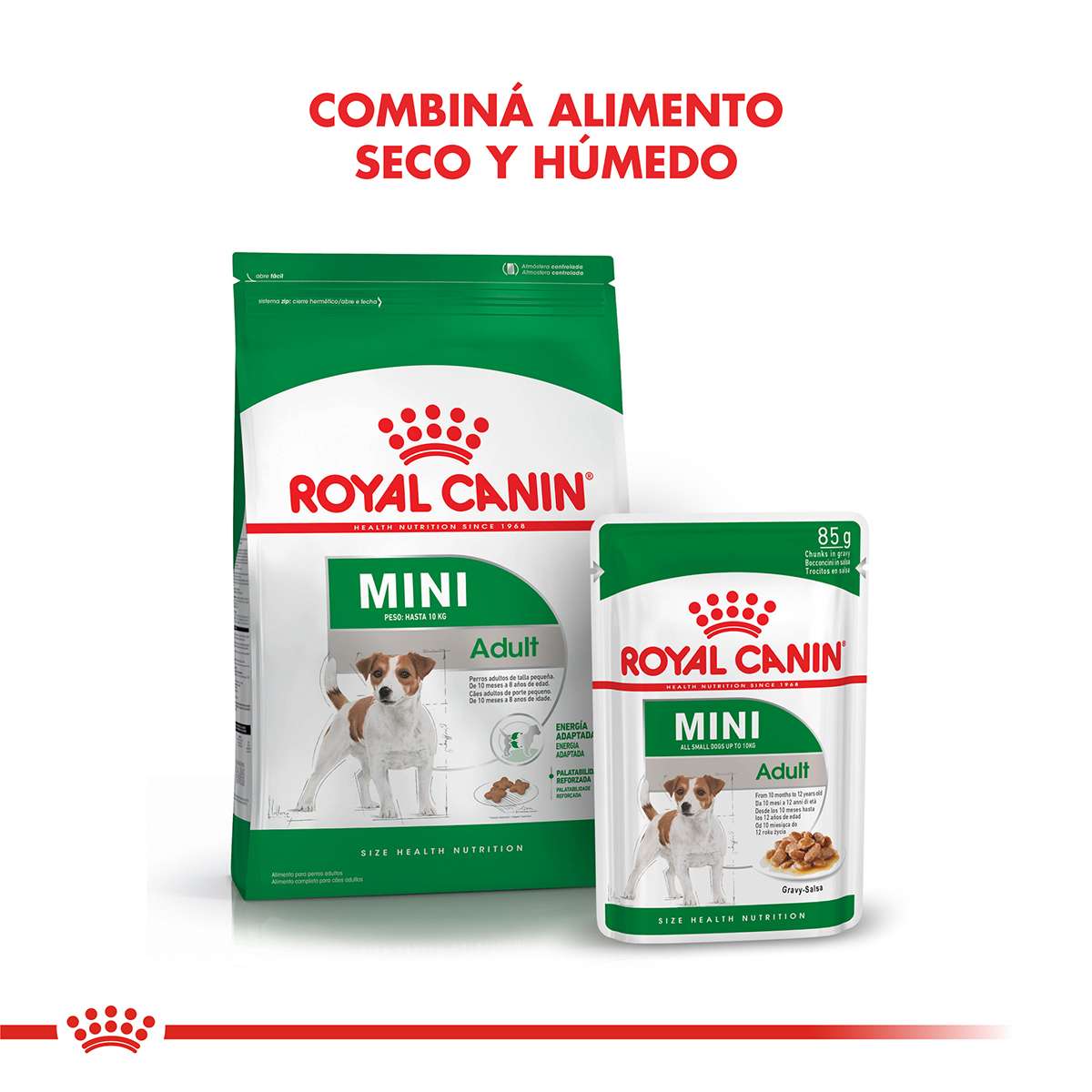 Royal Canin Mini Adulto Alimento Seco para Perro | 1 | 3 | 7,5 y 15 kg - Imagen 5