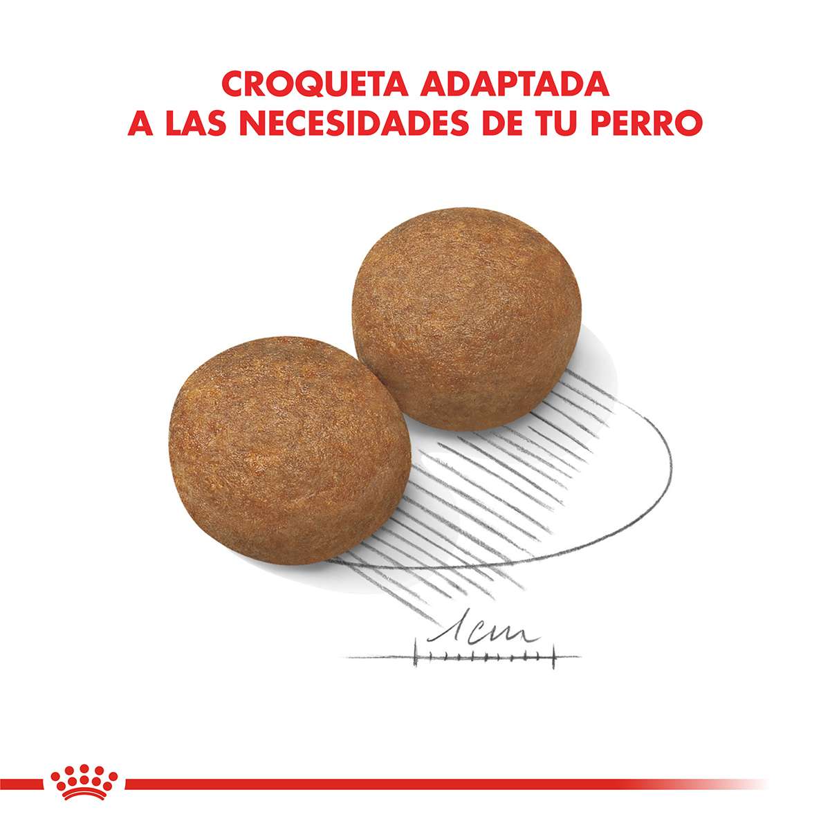 Royal Canin Maxi Adulto Alimento Seco para Perro | 3 y 15 kg - Imagen 3