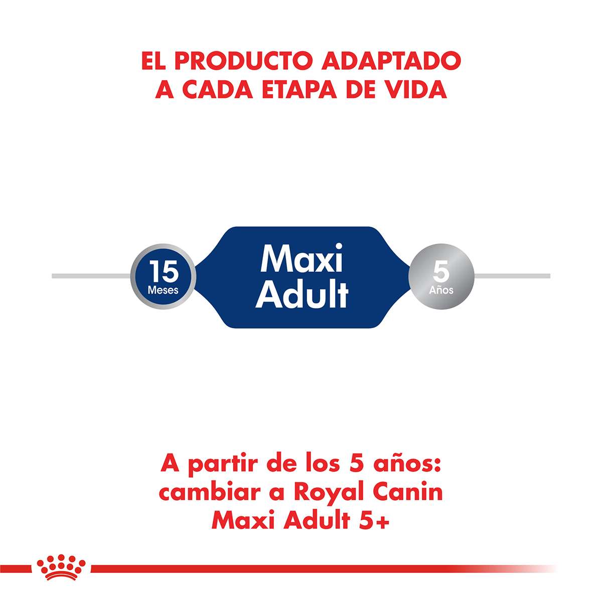 Royal Canin Maxi Adulto Alimento Seco para Perro | 3 y 15 kg - Imagen 4
