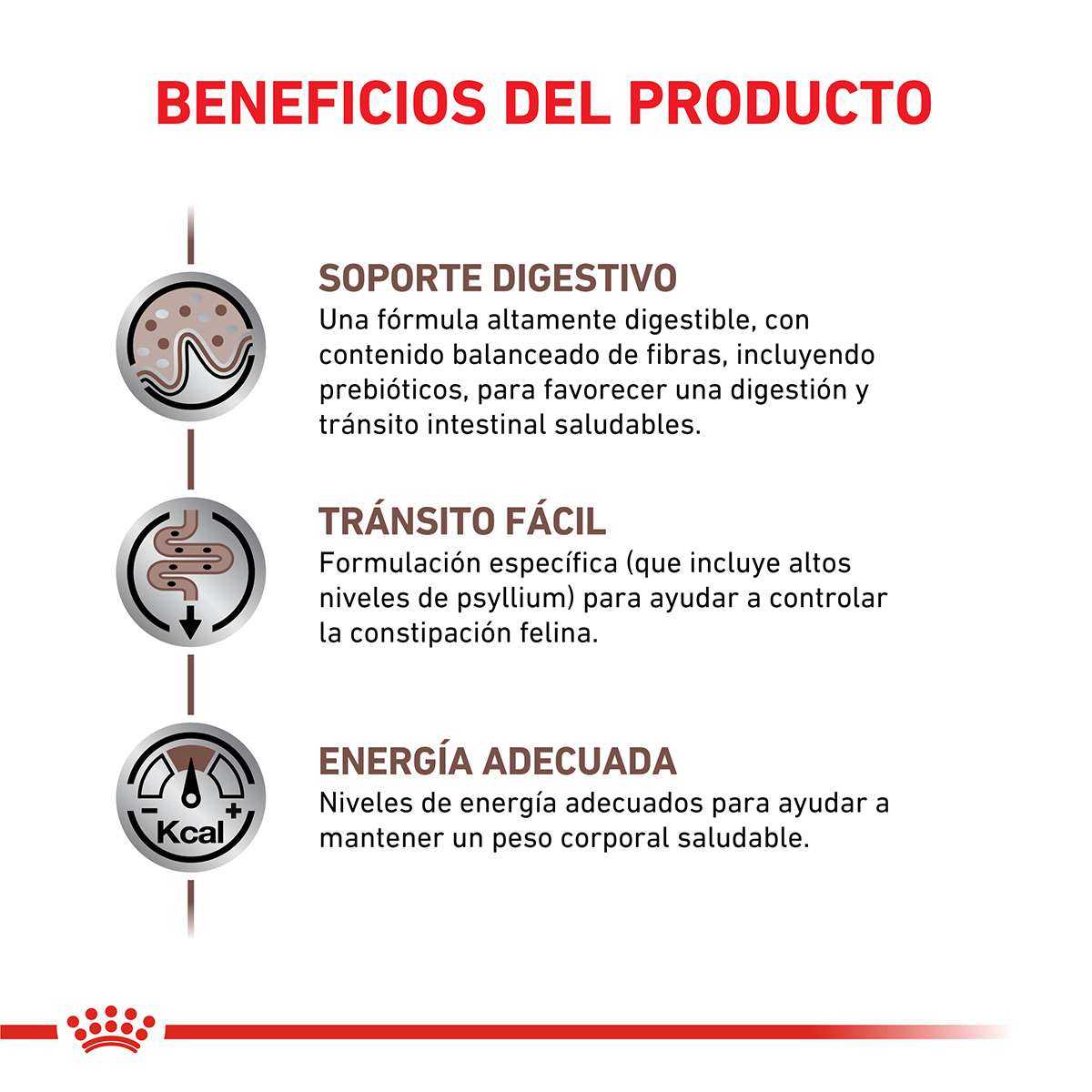 Royal Canin Fibre Response Feline Alimento Seco para Gato | 2 kg - Imagen 2