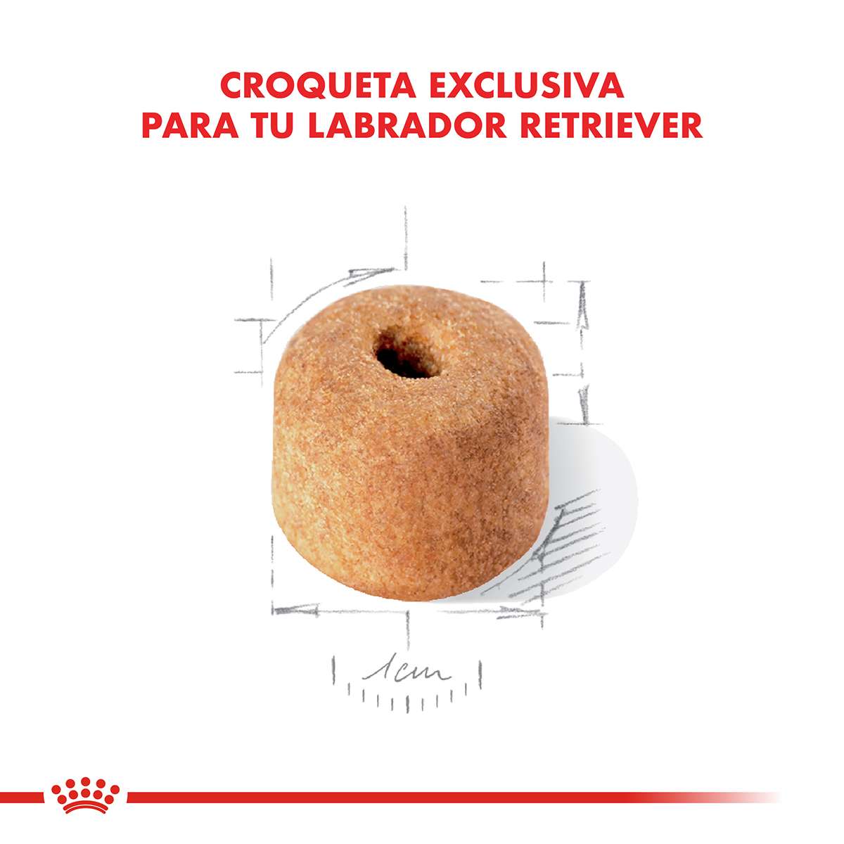 Royal Canin Labrador Retriever Adulto Alimento Seco para Perro | 12 kg - Imagen 3