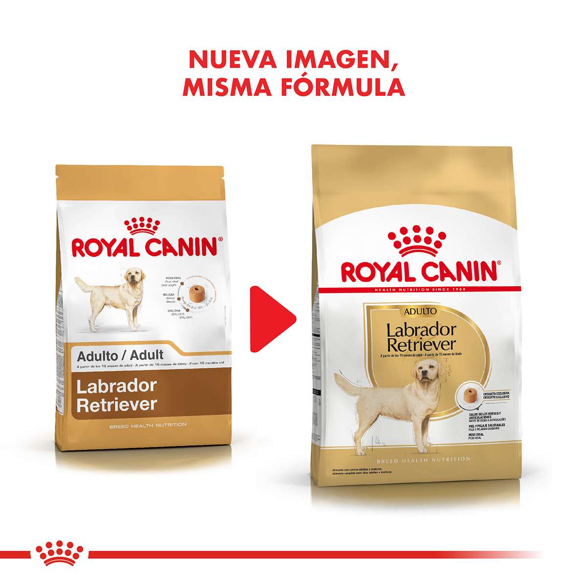 Royal Canin Labrador Retriever Adulto Alimento Seco para Perro | 12 kg - Imagen 6
