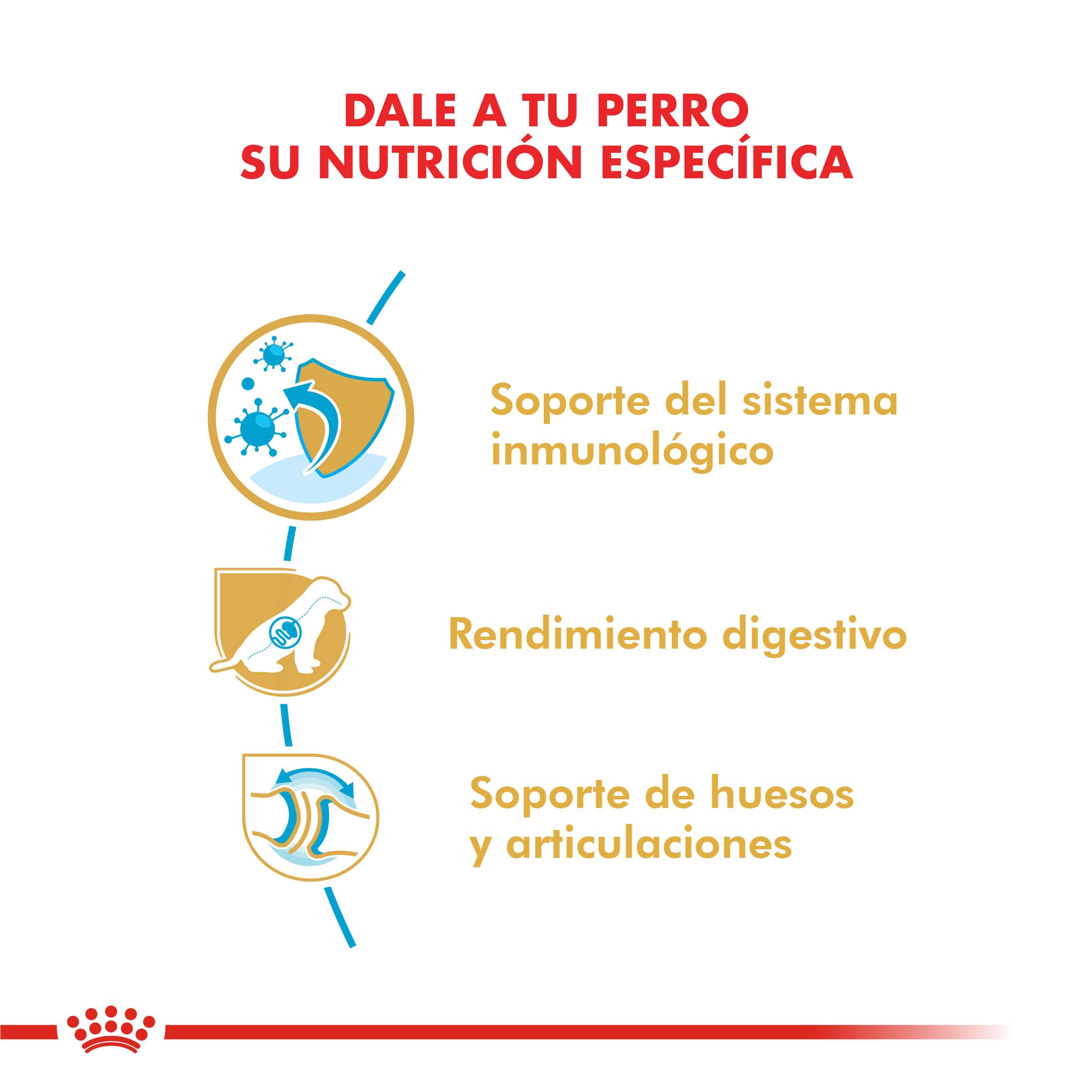 Royal Canin Ovejero Alemán Puppy Alimento Seco para Perro | 12 kg - Imagen 2
