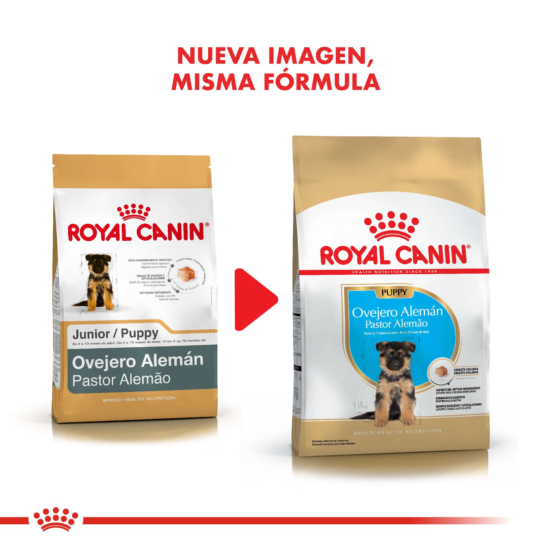 Royal Canin Ovejero Alemán Puppy Alimento Seco para Perro | 12 kg - Imagen 7