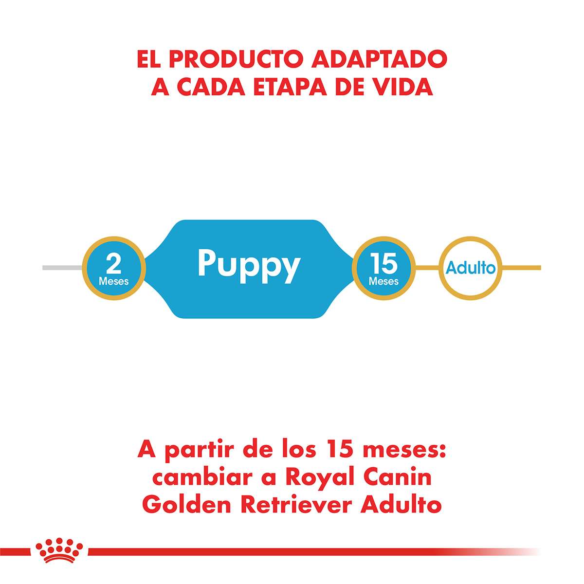 Royal Canin Golden Retriever Puppy Alimento Seco para Perro | 12 kg - Imagen 4