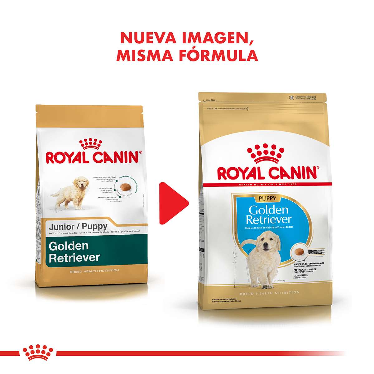 Royal Canin Golden Retriever Puppy Alimento Seco para Perro | 12 kg - Imagen 7