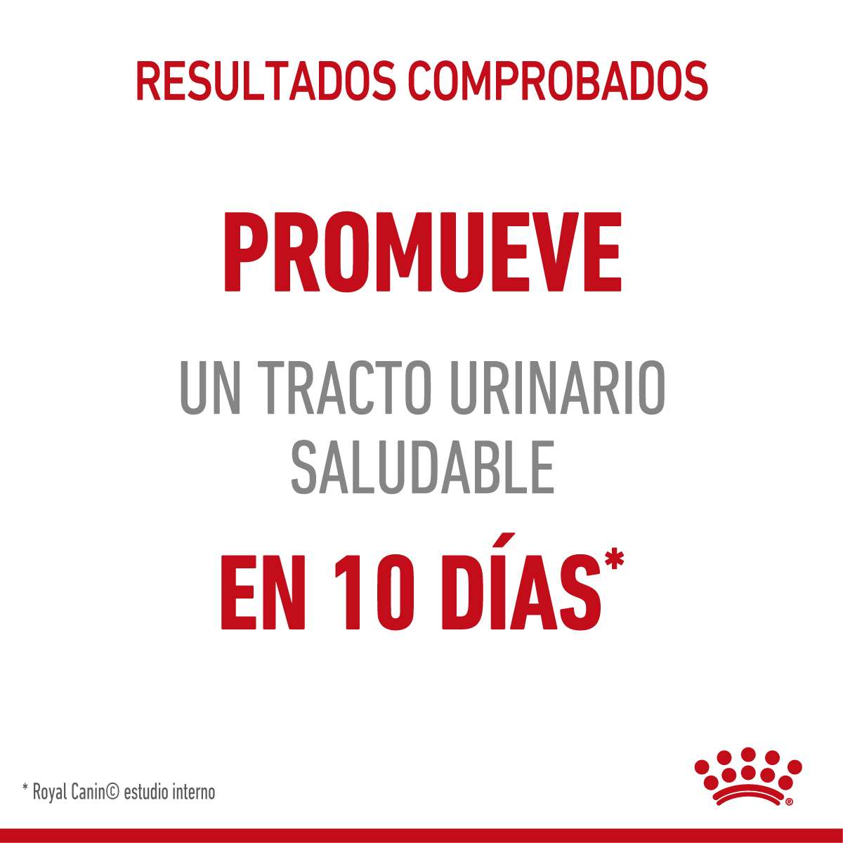 Royal Canin Urinary Care Alimento Seco para Gato | 1,5 y 7,5 kg - Imagen 3