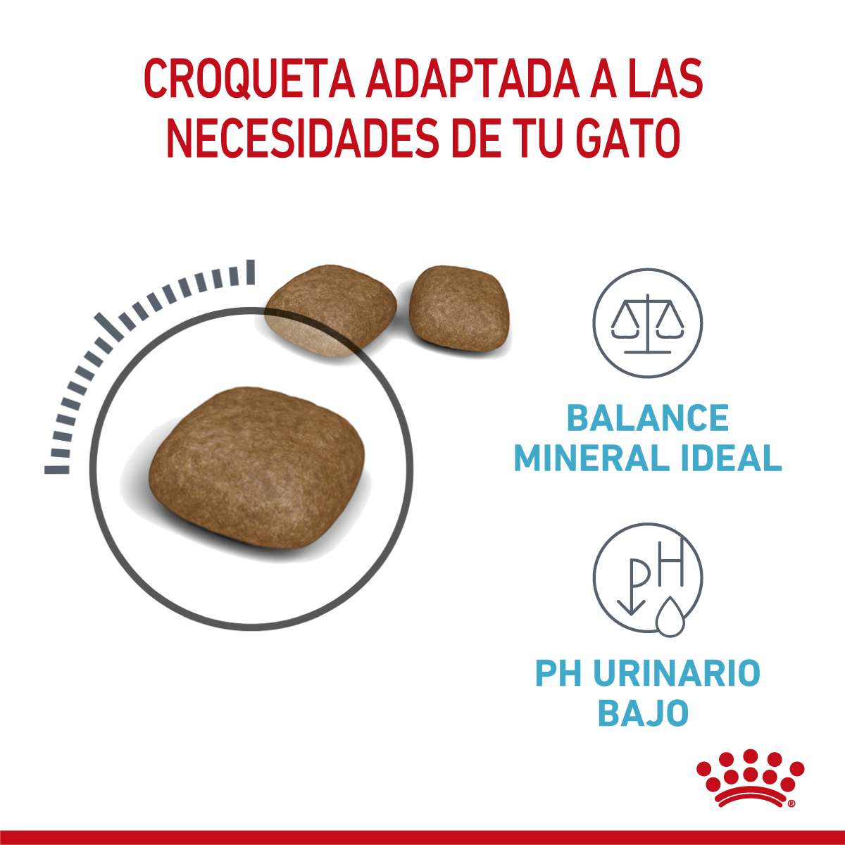 Royal Canin Urinary Care Alimento Seco para Gato | 1,5 y 7,5 kg - Imagen 4