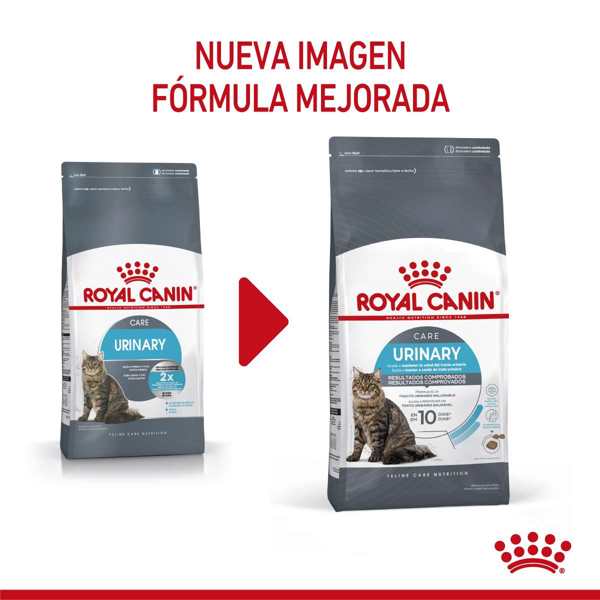 Royal Canin Urinary Care Alimento Seco para Gato | 1,5 y 7,5 kg - Imagen 7