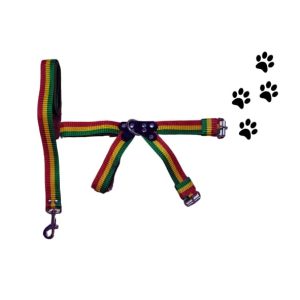 Arnés con correa Talla -5-