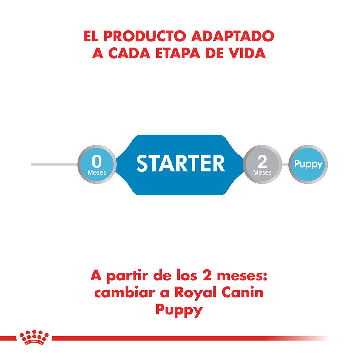 Royal Canin Starter Mother & Babydog Alimento Húmedo para Perro | 195 gr - Imagen 4