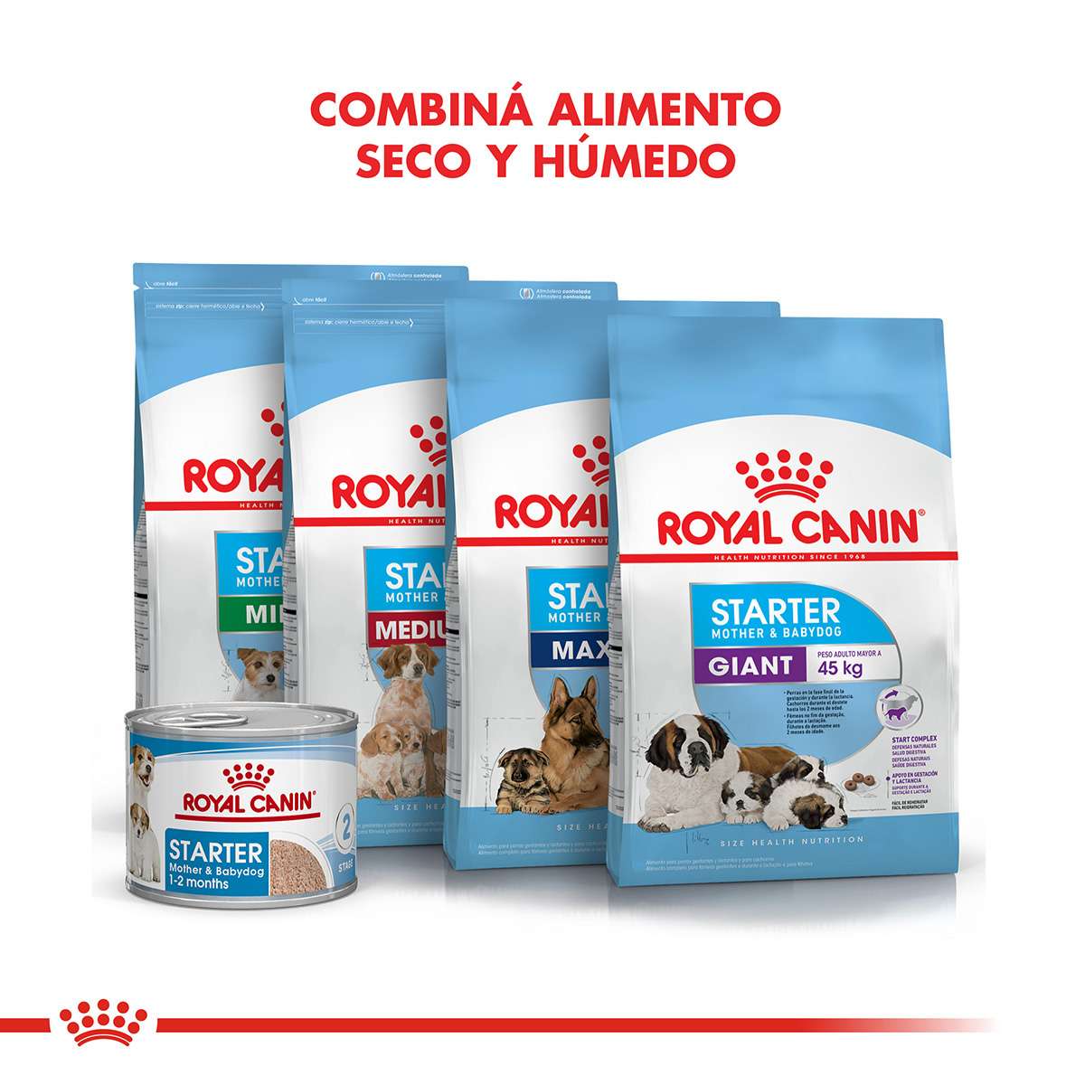 Royal Canin Starter Mother & Babydog Alimento Húmedo para Perro | 195 gr - Imagen 5