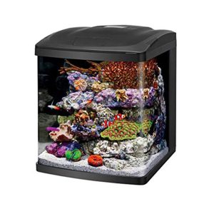 ACUARIO CORAL BIOCUBE LED 32 GALONES