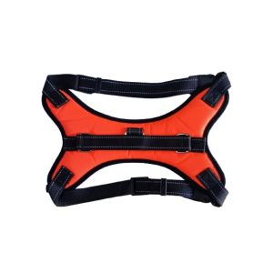 Arnes color anaranjado talla L