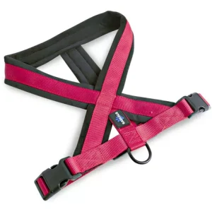 Pretal arnés premium, acolchado. Perro. Marca Rascals